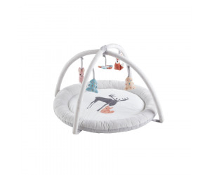 Babygym Edvin