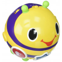 Having a Ball Roll and Chase Bumble Bee