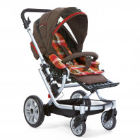 Buggy M6