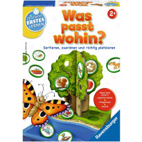 Spielen und Lernen - Was passt wohin?