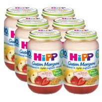 Bio Guten Morgen Erdbeere in Apfel-Joghurt-Müesli