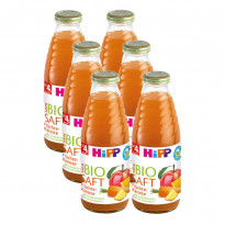 Bio Saft Früchte-Karotte