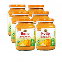 Bio Kürbis mit Reis