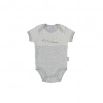 Arche Body