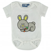 Body Hase