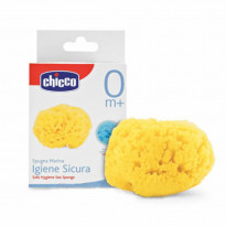 Naturschwamm Karibik